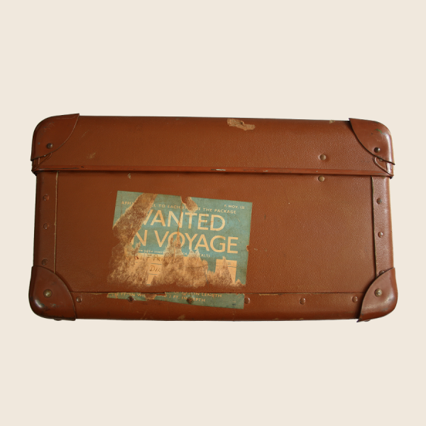 vintage_suitcase_brown_tan_