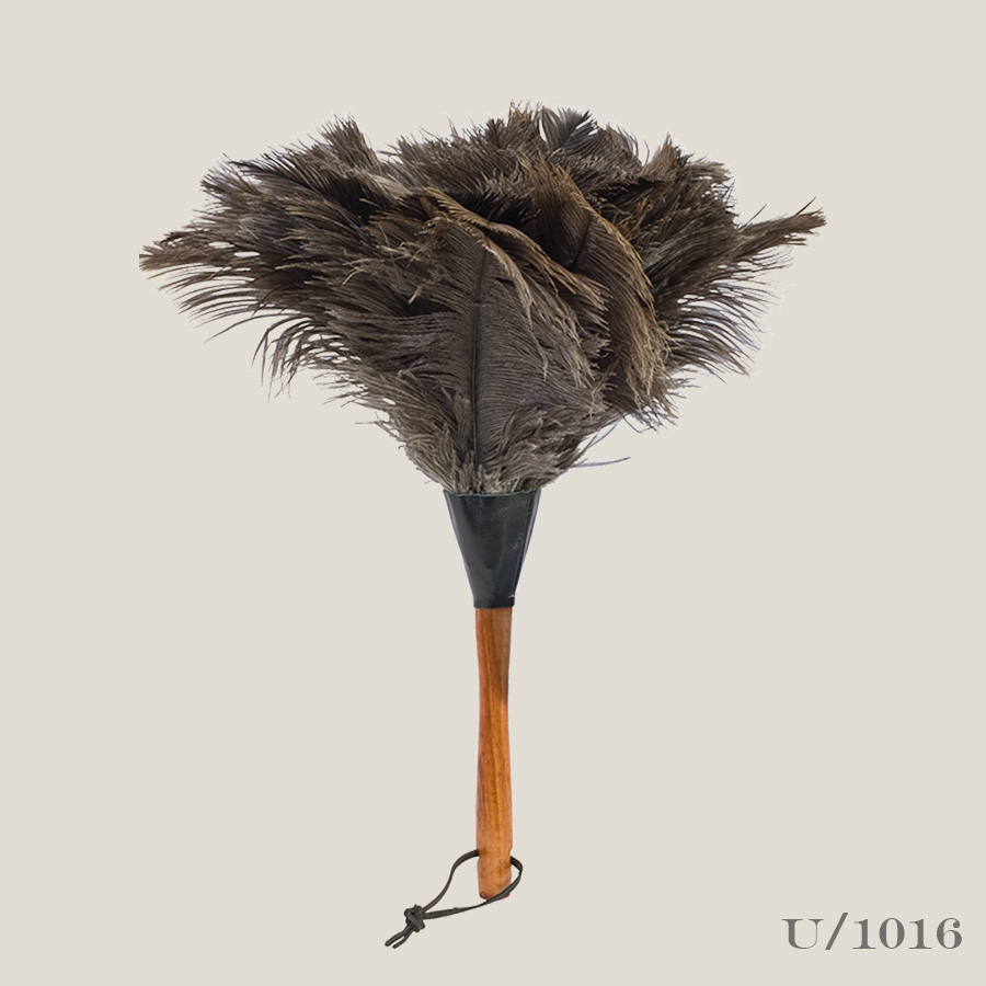 small ostrich feather duster