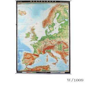 ginat vintage wall map of europe