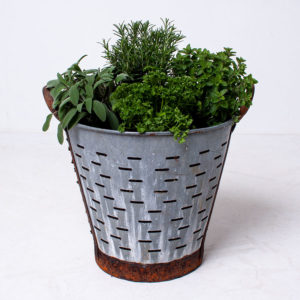 Vintage Olive Basket Planter